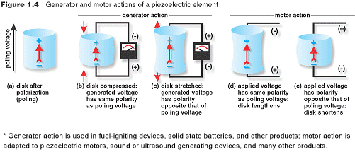 Generator & Motor Actions of Piezo Elements