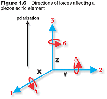 Forces of Piezoelectric Constants